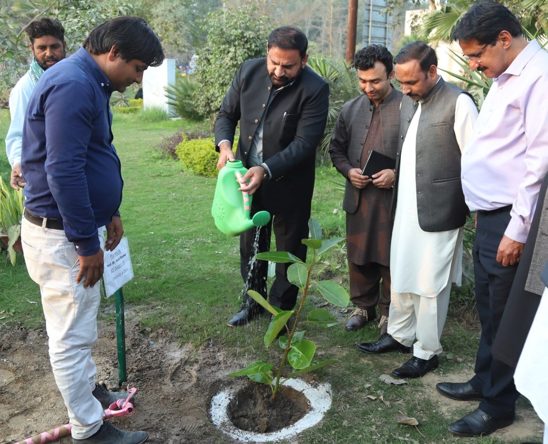 Promoting Green & Clean Campus (Plantation)